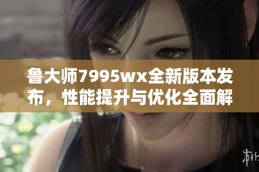鲁大师7995wx全新版本发布，性能提升与优化全面解析