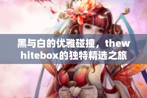 黑与白的优雅碰撞，thewhitebox的独特精选之旅