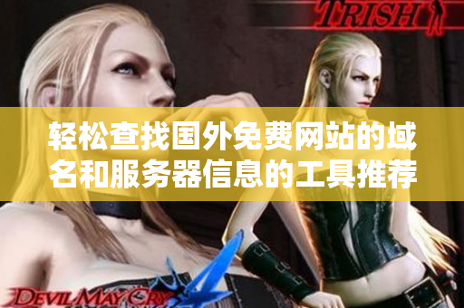 轻松查找国外免费网站的域名和服务器信息的工具推荐