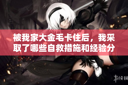 被我家大金毛卡住后，我采取了哪些自救措施和经验分享