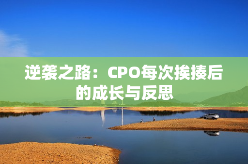 逆袭之路：CPO每次挨揍后的成长与反思