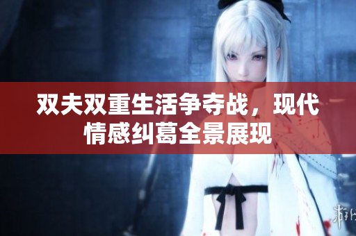 双夫双重生活争夺战，现代情感纠葛全景展现
