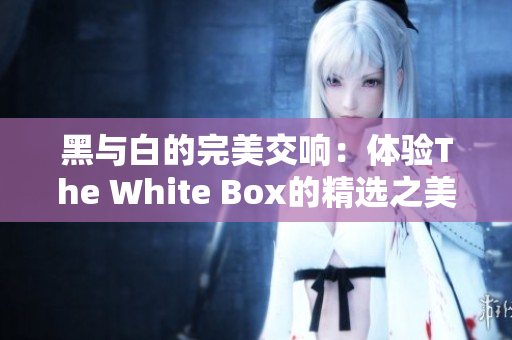 黑与白的完美交响：体验The White Box的精选之美