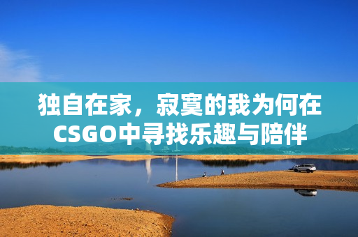 独自在家，寂寞的我为何在CSGO中寻找乐趣与陪伴