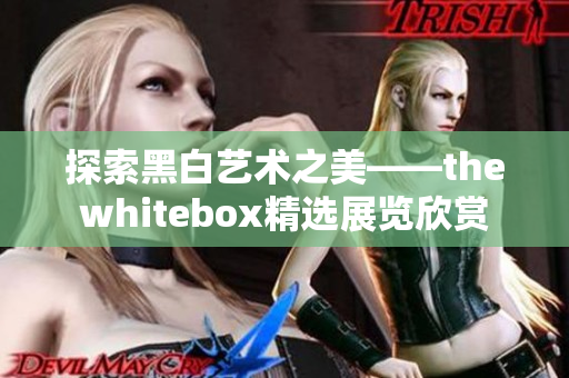 探索黑白艺术之美——thewhitebox精选展览欣赏