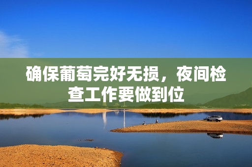 确保葡萄完好无损，夜间检查工作要做到位