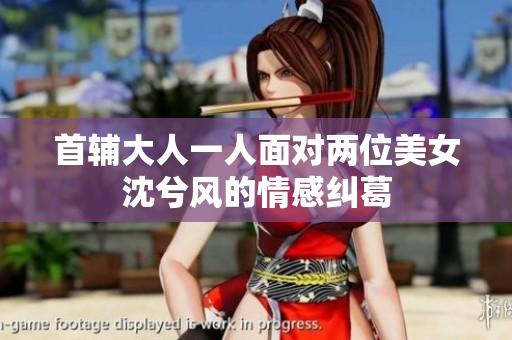 首辅大人一人面对两位美女沈兮风的情感纠葛