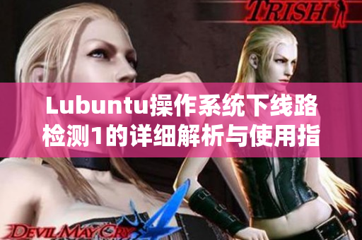 Lubuntu操作系统下线路检测1的详细解析与使用指南