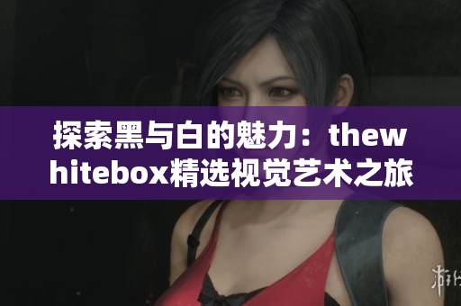 探索黑与白的魅力：thewhitebox精选视觉艺术之旅