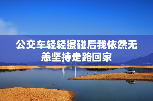 公交车轻轻擦碰后我依然无恙坚持走路回家
