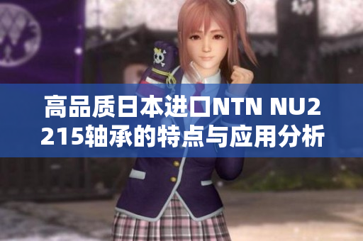 高品质日本进口NTN NU2215轴承的特点与应用分析