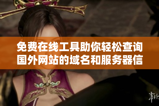免费在线工具助你轻松查询国外网站的域名和服务器信息