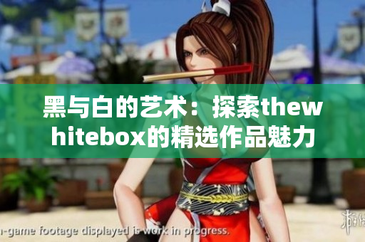 黑与白的艺术：探索thewhitebox的精选作品魅力