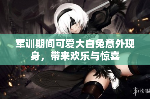 军训期间可爱大白兔意外现身，带来欢乐与惊喜