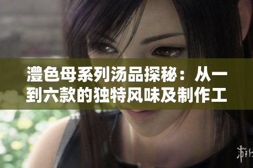 澧色母系列汤品探秘：从一到六款的独特风味及制作工艺分析