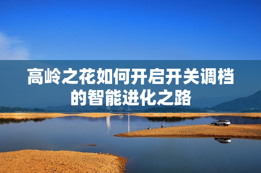 高岭之花如何开启开关调档的智能进化之路