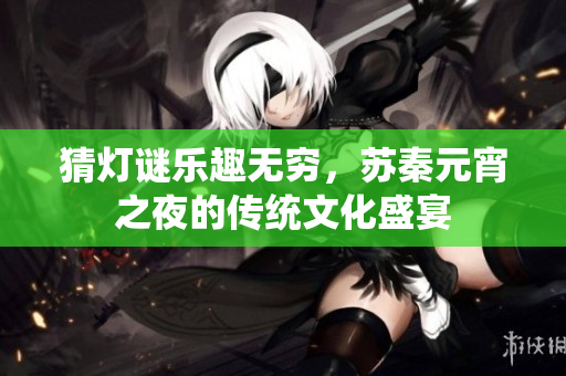 猜灯谜乐趣无穷，苏秦元宵之夜的传统文化盛宴