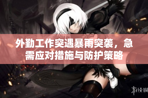 外勤工作突遇暴雨突袭，急需应对措施与防护策略