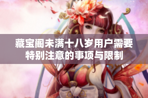 藏宝阁未满十八岁用户需要特别注意的事项与限制