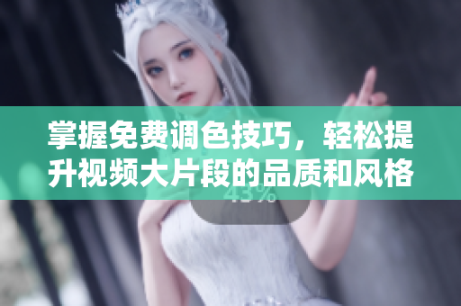 掌握免费调色技巧，轻松提升视频大片段的品质和风格
