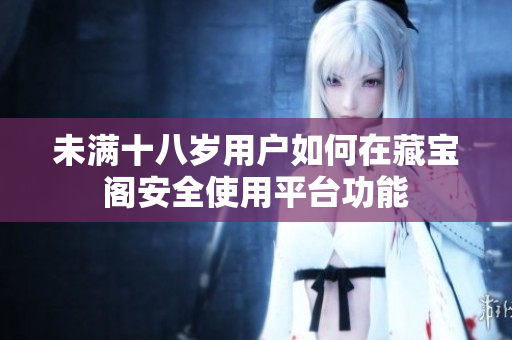 未满十八岁用户如何在藏宝阁安全使用平台功能