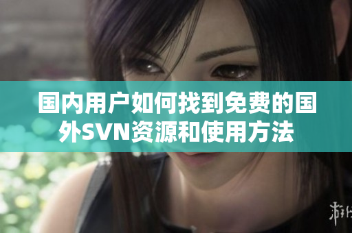 国内用户如何找到免费的国外SVN资源和使用方法