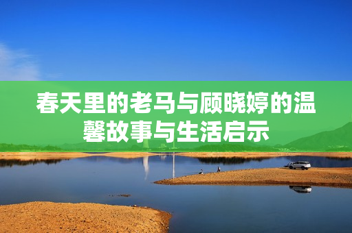 春天里的老马与顾晓婷的温馨故事与生活启示