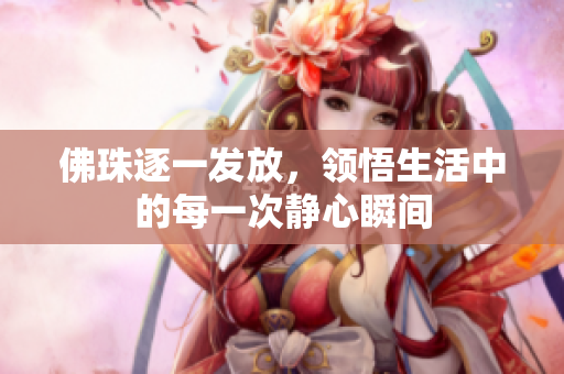 佛珠逐一发放，领悟生活中的每一次静心瞬间