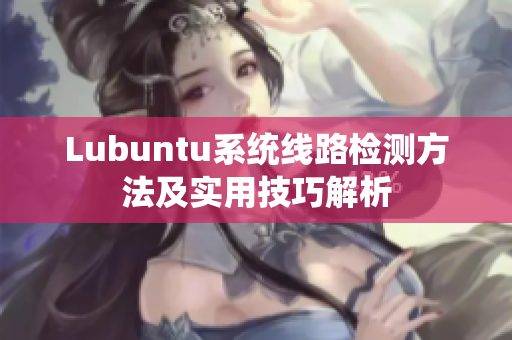 Lubuntu系统线路检测方法及实用技巧解析