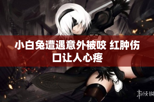 小白兔遭遇意外被咬 红肿伤口让人心疼