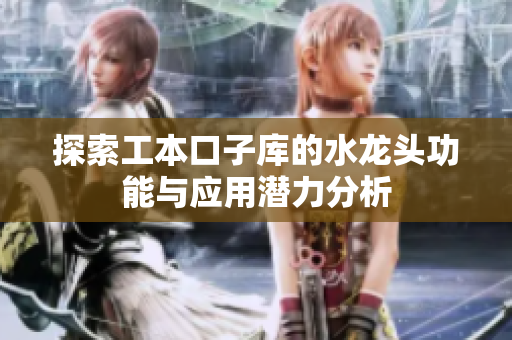 探索工本口子库的水龙头功能与应用潜力分析