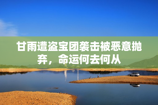 甘雨遭盗宝团袭击被恶意抛弃，命运何去何从