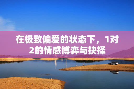 在极致偏爱的状态下，1对2的情感博弈与抉择