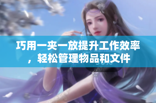 巧用一夹一放提升工作效率，轻松管理物品和文件