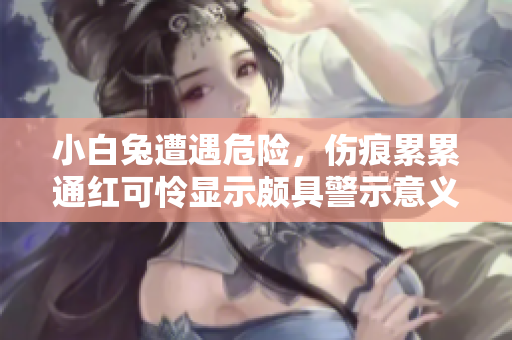 小白兔遭遇危险，伤痕累累通红可怜显示颇具警示意义