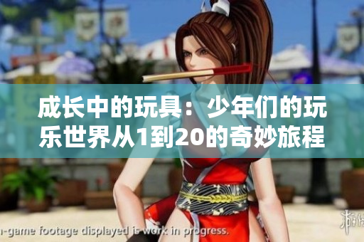 成长中的玩具：少年们的玩乐世界从1到20的奇妙旅程
