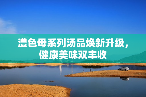 澧色母系列汤品焕新升级，健康美味双丰收