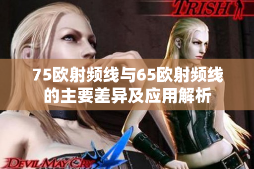 75欧射频线与65欧射频线的主要差异及应用解析