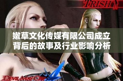 嫩草文化传媒有限公司成立背后的故事及行业影响分析