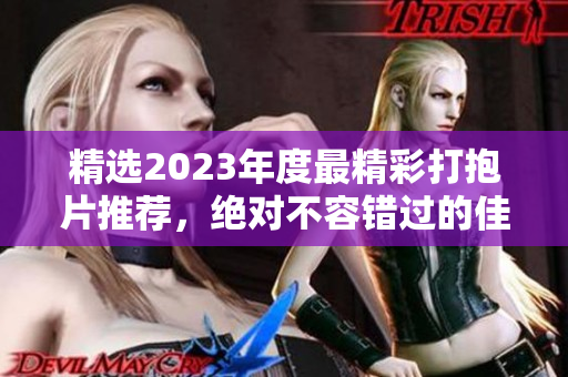 精选2023年度最精彩打抱片推荐，绝对不容错过的佳作！