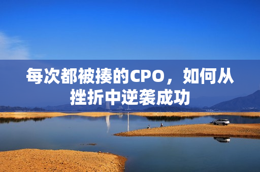 每次都被揍的CPO，如何从挫折中逆袭成功