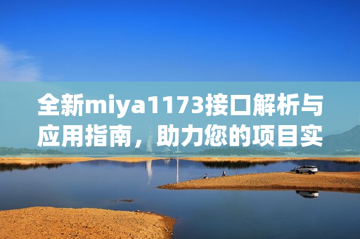 全新miya1173接口解析与应用指南，助力您的项目实现
