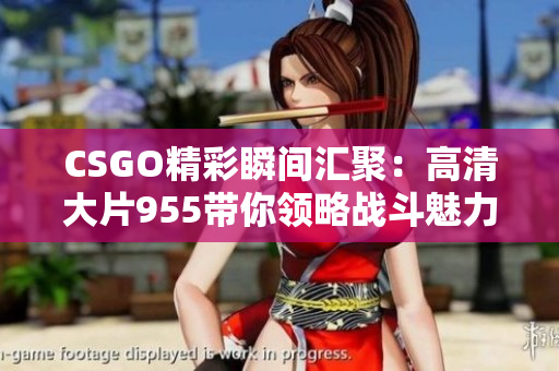 CSGO精彩瞬间汇聚：高清大片955带你领略战斗魅力