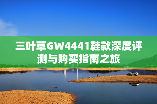 三叶草GW4441鞋款深度评测与购买指南之旅