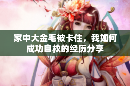 家中大金毛被卡住，我如何成功自救的经历分享