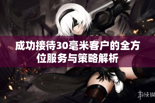 成功接待30毫米客户的全方位服务与策略解析