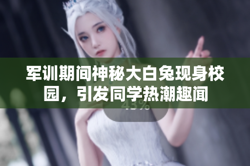 军训期间神秘大白兔现身校园，引发同学热潮趣闻