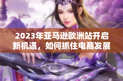 2023年亚马逊欧洲站开启新机遇，如何抓住电商发展先机
