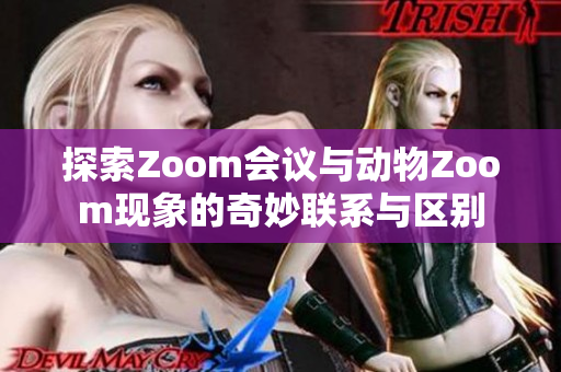 探索Zoom会议与动物Zoom现象的奇妙联系与区别