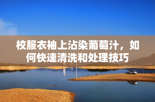校服衣袖上沾染葡萄汁，如何快速清洗和处理技巧